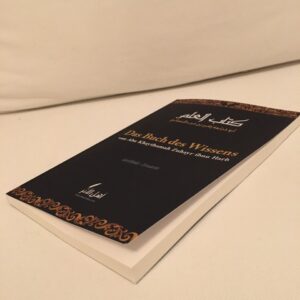gallery (11)