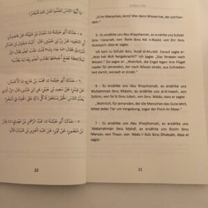 gallery (13)