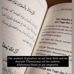 gallery (16)
